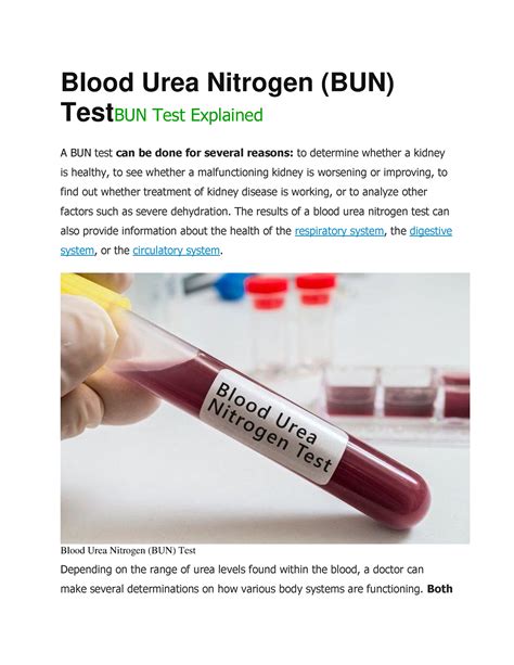 Blood Urea Nitrogen (BUN) Test: Uses, Preparation, and More.